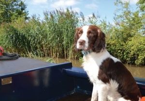 Narrowboat Holidays Hire Uk Barge Canal Boats Black Prince