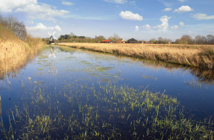 Wicken Fen